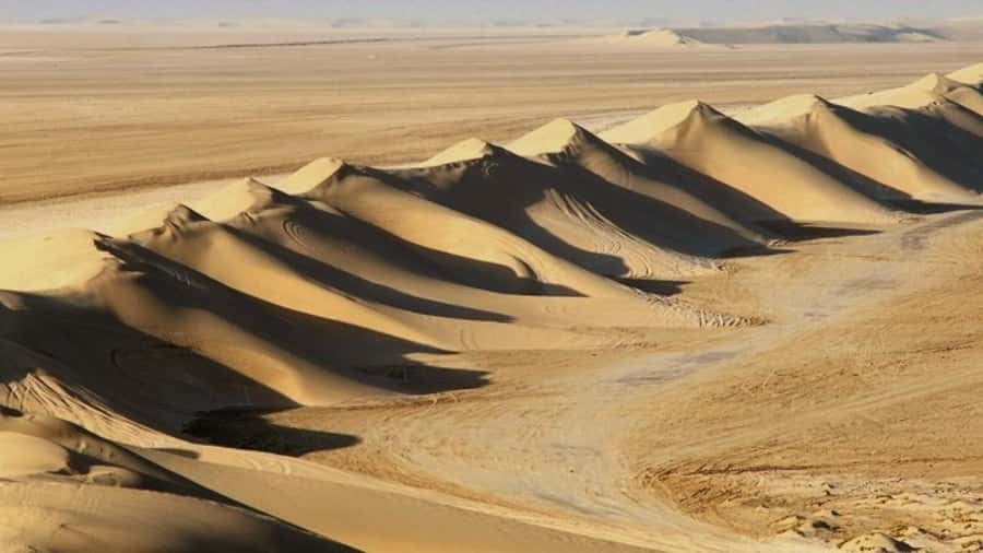 Dune Bashing, Sandboarding, Camel Ride & Optional ATV Ride - Camel camp, tea, and a short cultural stop