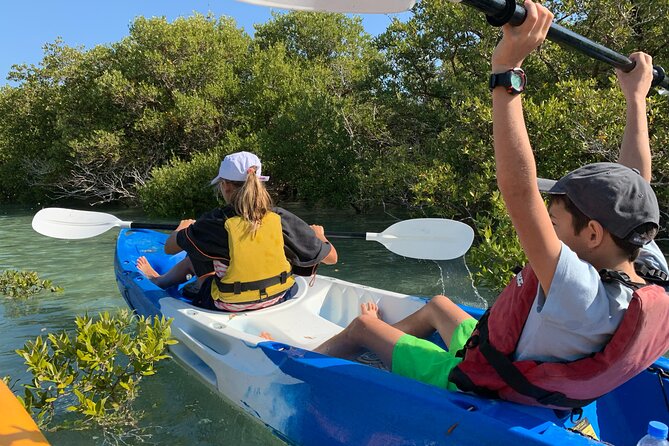 Eco Kayaking Adventure – Mangrove Exploration at Purple Island - Purple Island and the Qatar flag connection