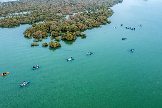 Eco Kayaking Adventure – Mangrove Exploration at Purple Island - Is $75 a fair price?