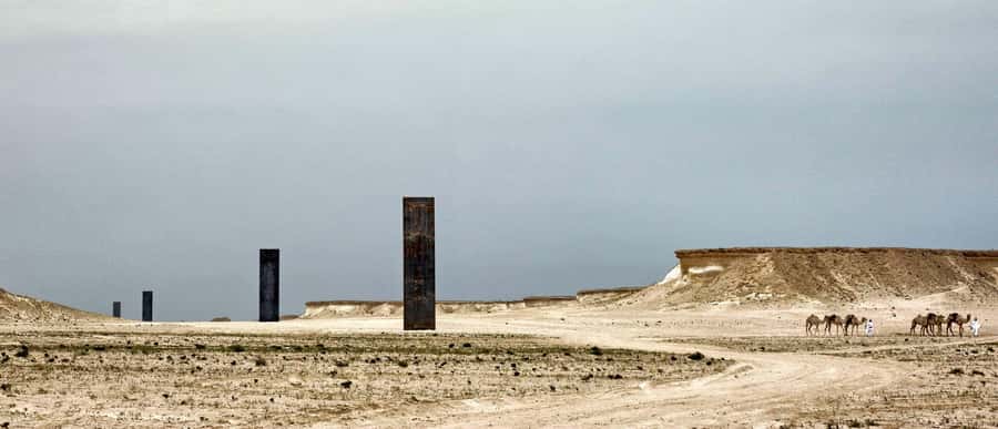 Explore Qatar’s Past: North & West Full-Day Heritage Tour - Al Thakira’s mangroves bring a change of pace