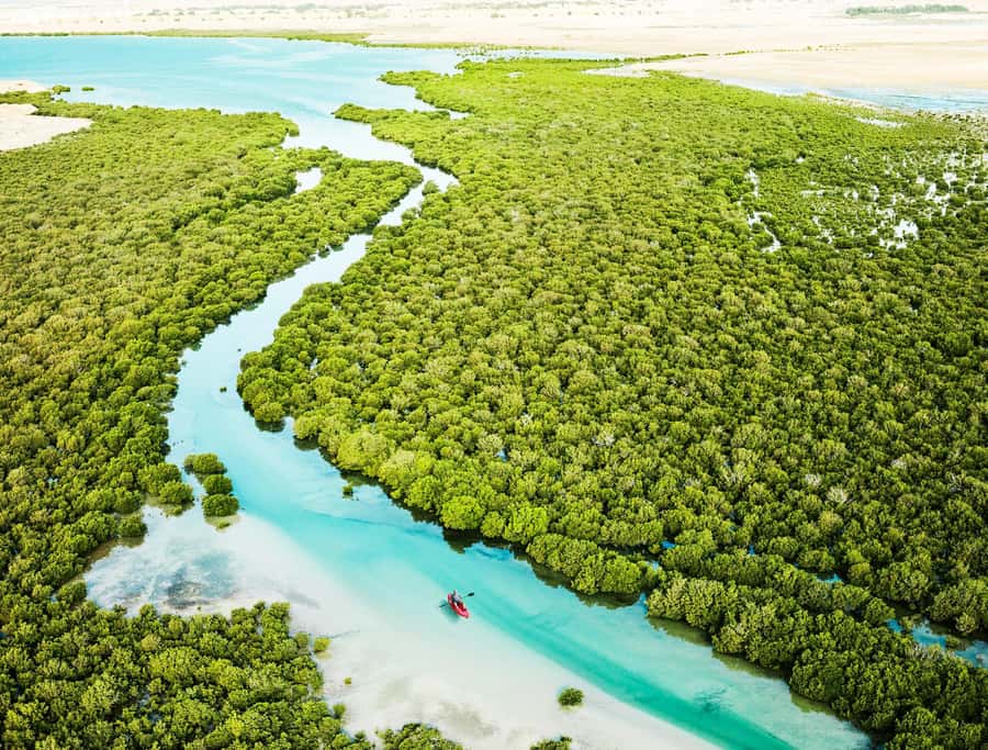 Explore Qatar’s Past: North & West Full-Day Heritage Tour - Zekreet’s limestone country