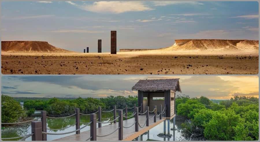 From Doha: Culture & History Qatar Tour to the North & West - Al Zubarah Fort and Qatar’s trading past