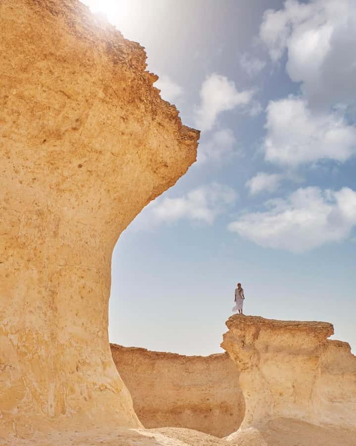 From Doha: Day Trip to North And West Qatar With Pickup - What $71 includes, and what it does not