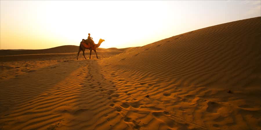 From Doha: Exclusive Monster Bus Safari Experience - A ten-minute stop for desert photos