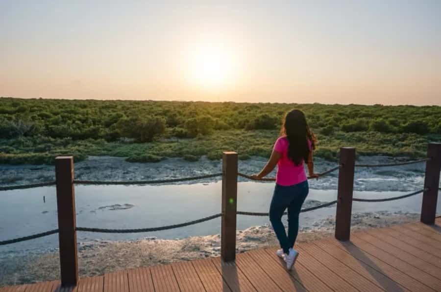From Doha: Full-Day Tour to Qatar North and West - Al Shahaniya brings in Qatar’s camel culture