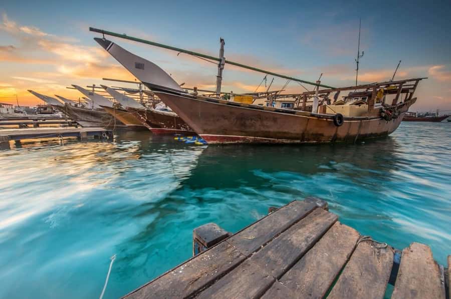 From Doha: Full-Day Tour to Qatar North and West - The guide can shape the whole experience