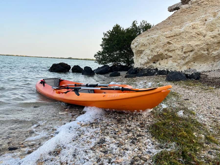 From Doha: Mangroves Kayaking Adventure - Reaching Purple Island and its ancient dye connection