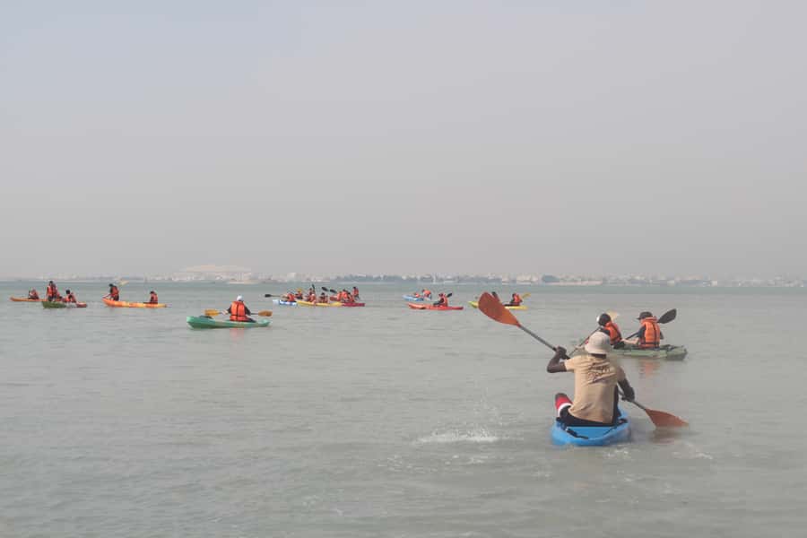 From Doha: Mangroves Kayaking Adventure - What the mangroves add to the experience