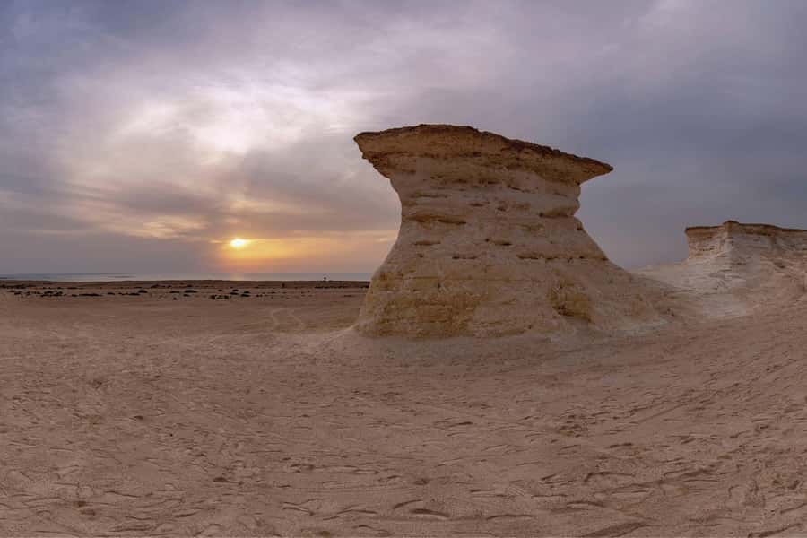 From Doha: Private West Coast and Camel Race Track Tour - Why this west coast route is worth your afternoon