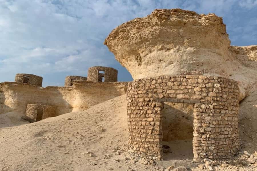 From Doha: Private West Coast and Camel Race Track Tour - What the guides add to the experience