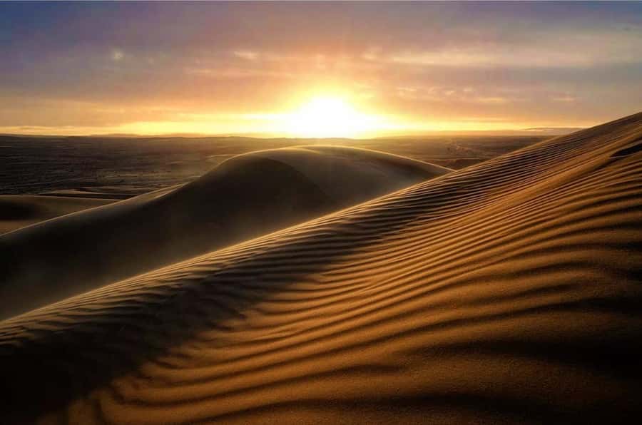 From Doha: Sunrise or Sunset Safari with Sand Boarding - Key points before you book