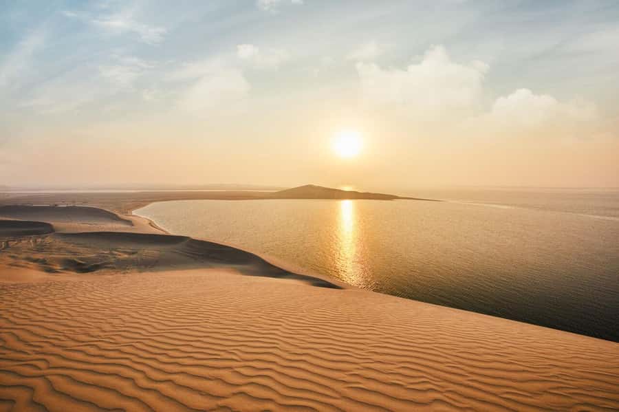 From Doha: Sunrise or Sunset Safari with Sand Boarding - Camel camp, tea, and a short photo stop