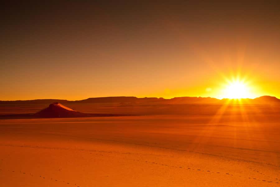 From Doha: Sunrise or Sunset Safari with Sand Boarding - Dune bashing, from gentle to intense