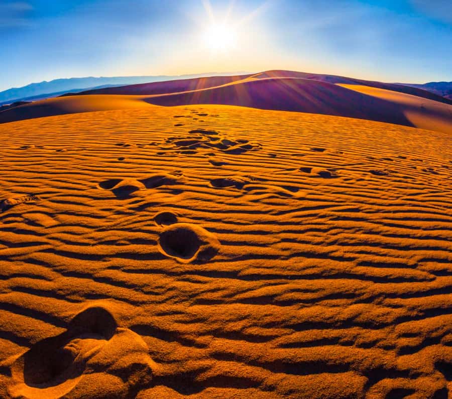 From Doha: Sunrise or Sunset Safari with Sand Boarding - What the $27 price really buys you