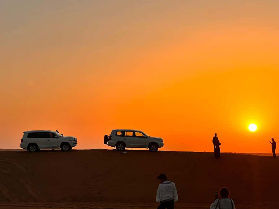 From Doha: Sunrise or Sunset Safari with Sand Boarding - Who should choose this desert safari