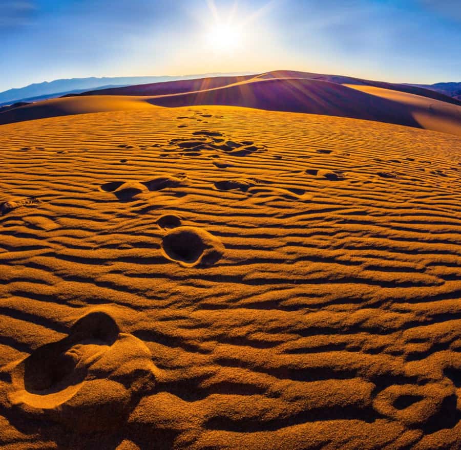 From Doha: Sunrise or Sunset Safari with Sand Boarding - Sandboarding on Qatar’s high dunes