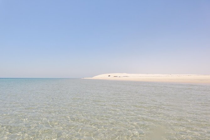 Full Day Desert Safari Doha/dinner included - Comfort, pace, and who should book