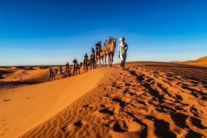 Full-Day Desert Safari with Buffet Dinner || Inland Sea Visit - A Bedouin-style camp by the water