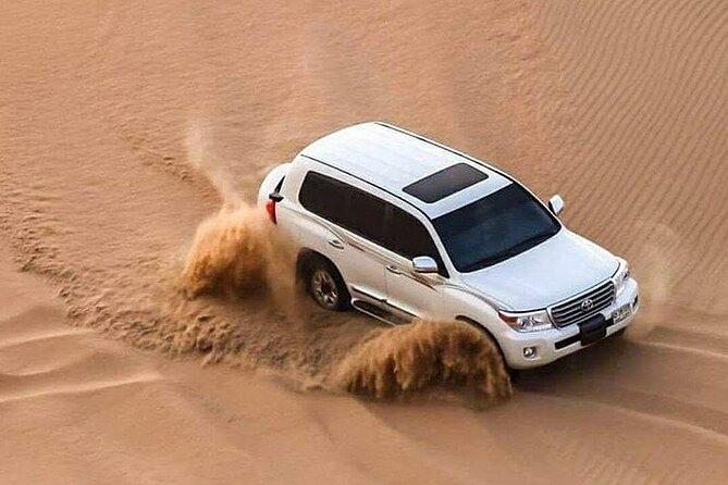 Full Day Desert Safari with Camp Access, Buffet Dinner,Camel Ride - The meal: useful, filling, and worth clarifying