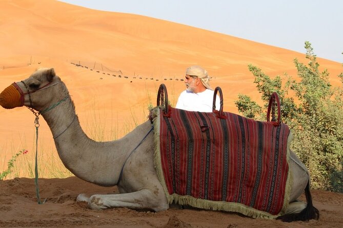 Full Day Desert Safari with Camp Access, Buffet Dinner,Camel Ride - How the private format affects the day