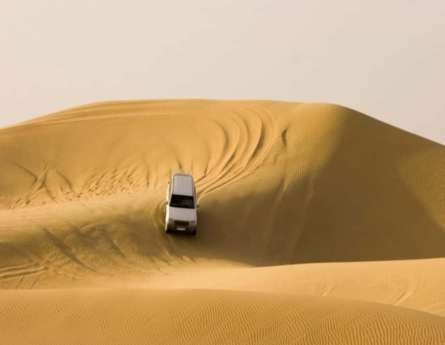 Full day desert safari with lunch or Dinner - Guides can shape the whole day