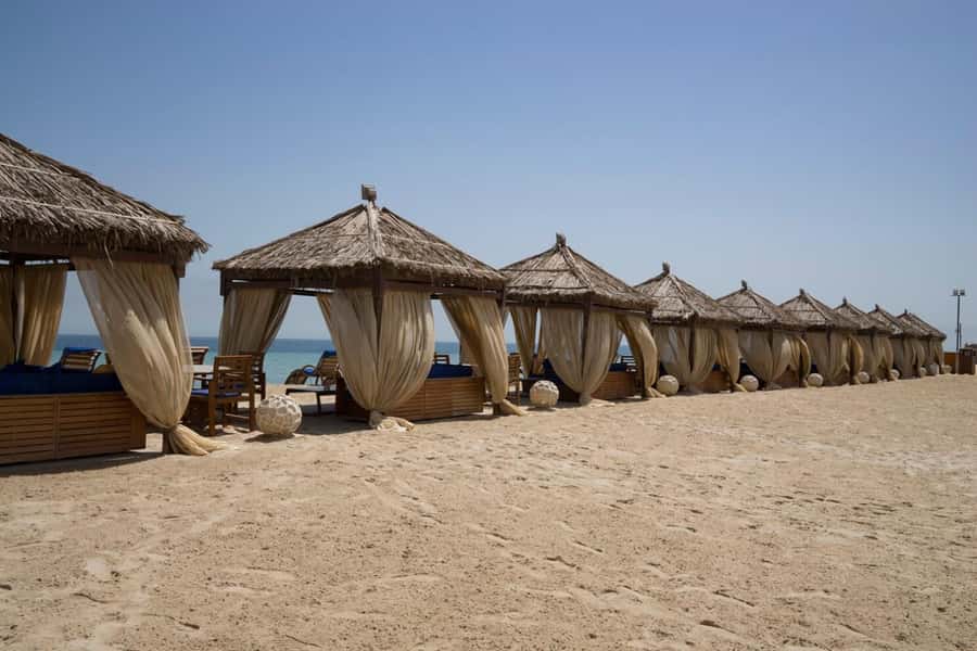 Full day desert safari with lunch or Dinner - FAQ