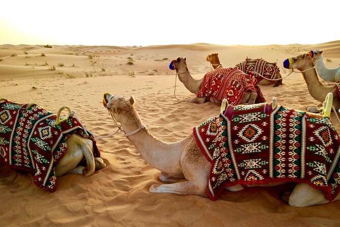 Full-Day DesertSafari with Camel Ride,InlandSea & BBQ Desert Camp - BBQ dinner and Arabic-style camp time