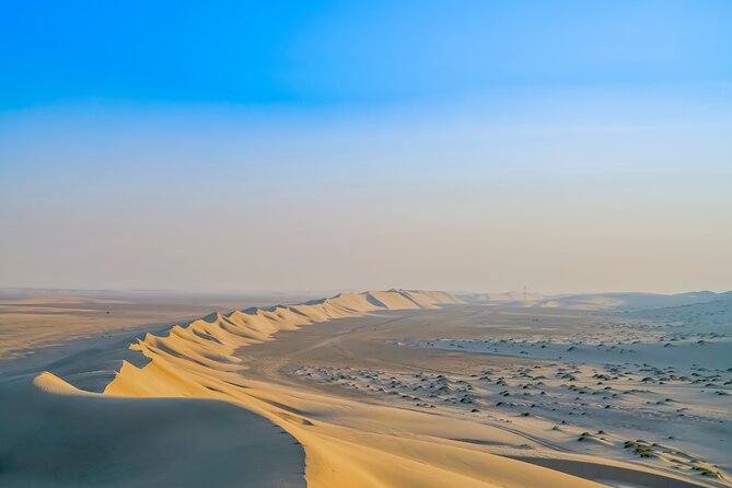 Full-day Qatar desert safari: dune bashing, sandboarding, camels - From Doha to Sealine, where the desert starts