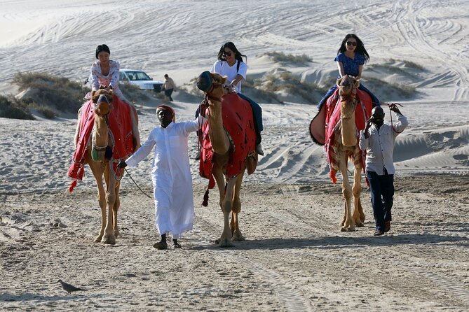 Full-day Qatar desert safari: dune bashing, sandboarding, camels - Dune bashing across Qatar’s southern sands