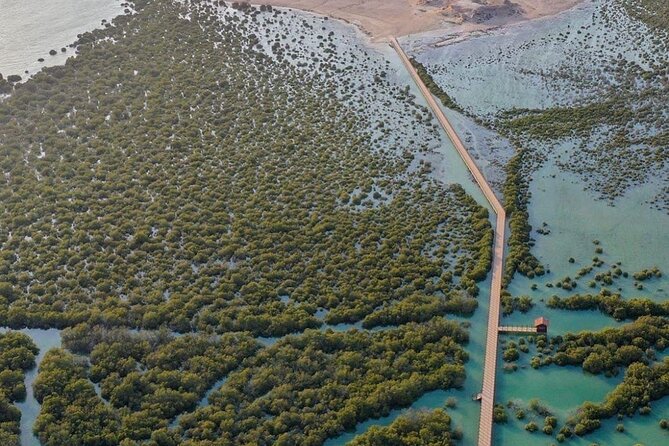 Full Day Qatar North and City Tour with Pickup From Doha - Purple Island and the Al Thakira mangroves