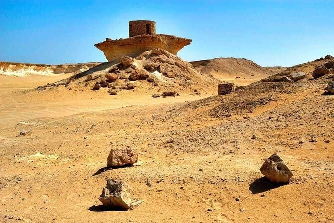 Full Day Qatar's North And West tour || History & Heritage - Al Thakhira’s mangroves bring a welcome change