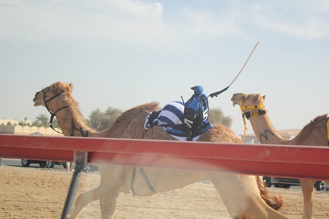 Full-Day Tour Qatar North And West - Al Jumail and the Remains of a Pearling Village