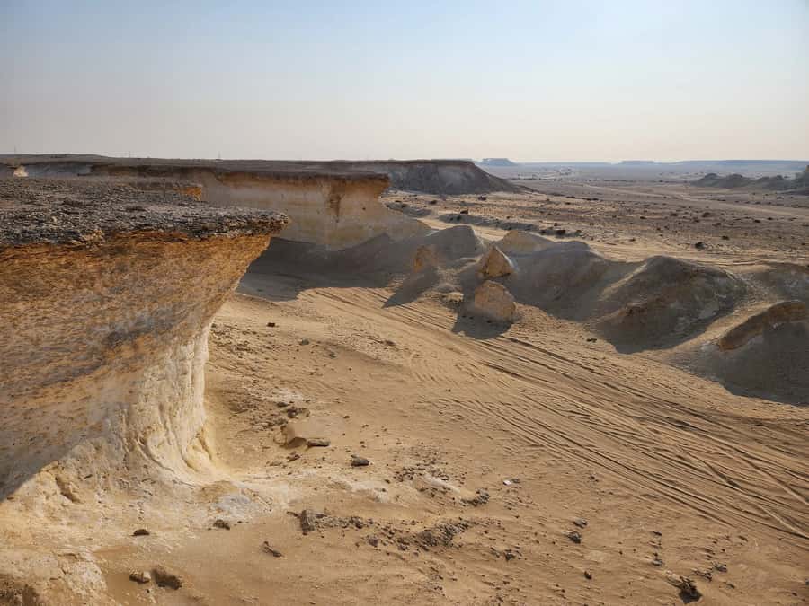 Full Day Tour to Qatar North and West / History and Heritage - Al Shamal and the northern edge of Qatar