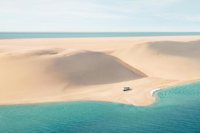 Half Day Desert Safari and Inland Sea - From Doha streets to open desert