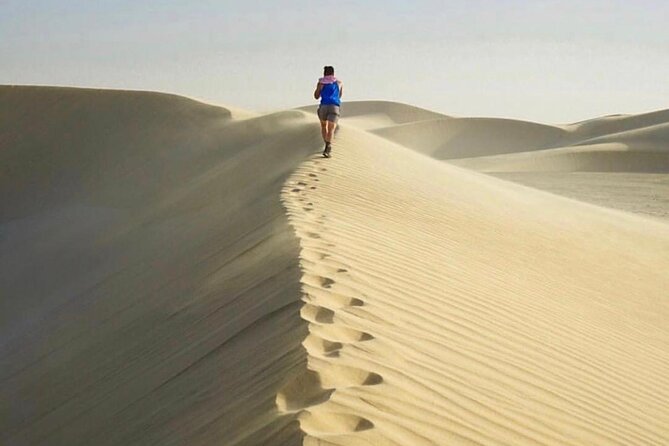Half Day Desert Safari and Inland Sea - Practical planning for the four-hour outing