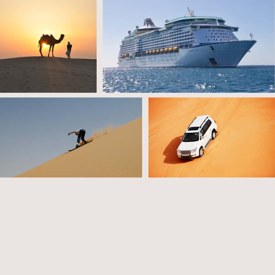 Half-Day Desert Safari For Cruise Ships Passngers. - Why this short Qatar safari works from a cruise port