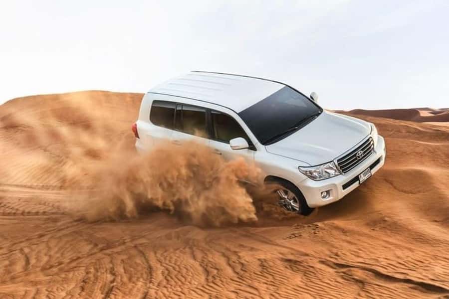 Half-Day Desert Safari For Cruise Ships Passngers. - Tea and a five-minute camel ride at the camp