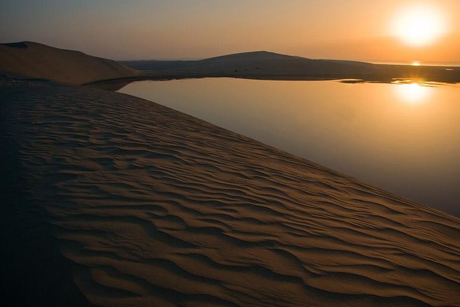 Half Day Desert Safari || Sand Boarding || Camel Ride || Inland Sea Visit || - Khor Al Udaid, Qatar’s Inland Sea