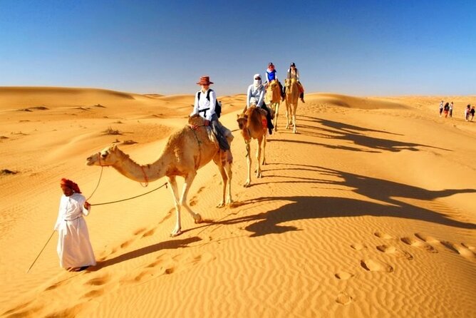 Half Day Desert Safari with Sand Boarding and Camel Ride - Is $59 a fair price?