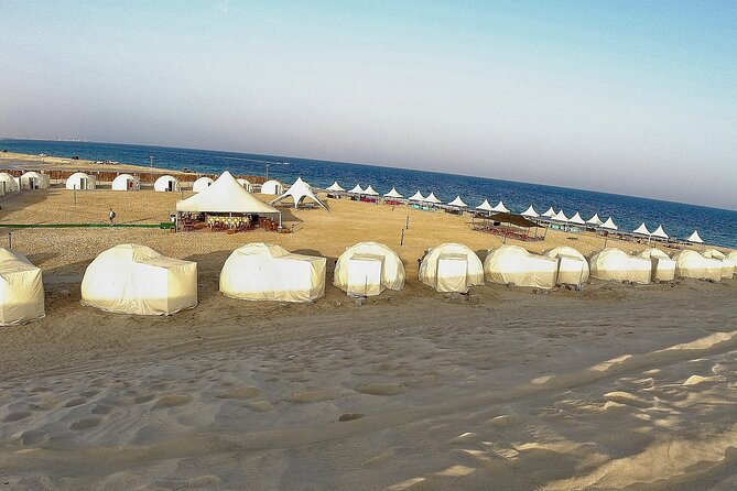 Half Day Desert Tour with Camel Ride - Key points to know before you book