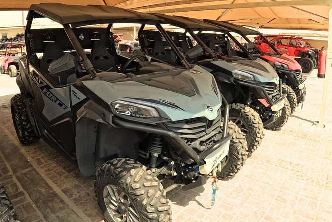 Half Day Night and Morning Desert Safari Camel and Sand Boarding - Who will enjoy this desert safari most