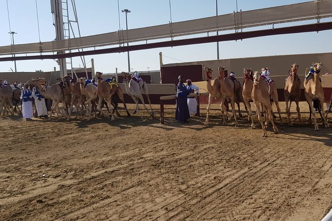 Half-Day Private Guided Camel Race Tour in Qatar - Meeting the camels before the race