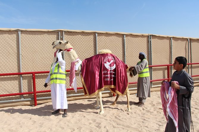 Half-Day Private Guided Camel Race Tour in Qatar - Is $133.34 per person fair?