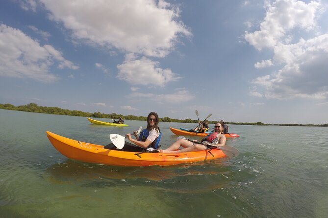 Mangrove Kayaking Purple Island Adventure - What the four-hour outing is like