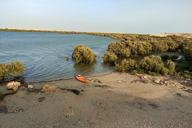Mangrove Kayaking Purple Island Adventure - Double kayaks, wind, and the physical effort