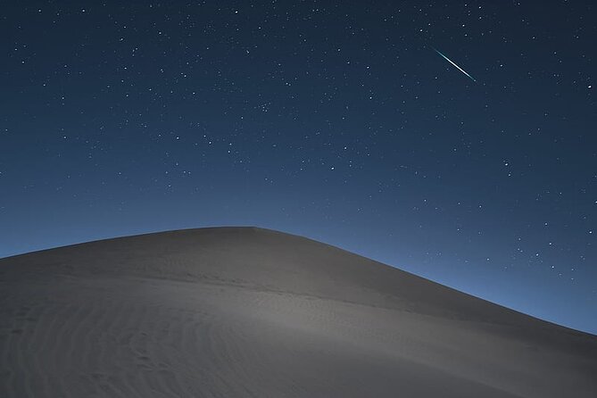 Night Desert Safari, Stargazing, Dune Driving & Inland Sea Visit - Camels, falcons, and the camp stop