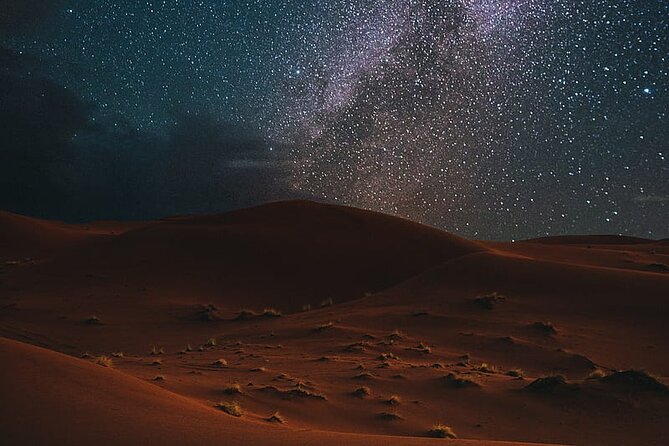 Night Desert Safari, Stargazing, Dune Driving & Inland Sea Visit - How guides shape the experience
