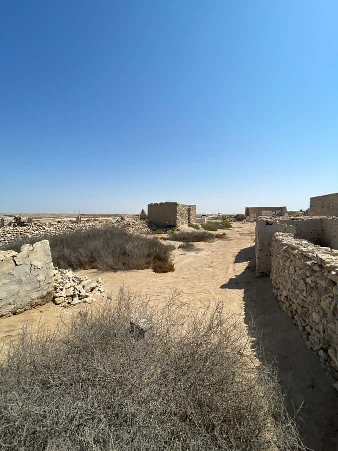 North of Qatar: Olafur Eliasson Exibit, Zubara fort & jumail - What the guide adds to the day