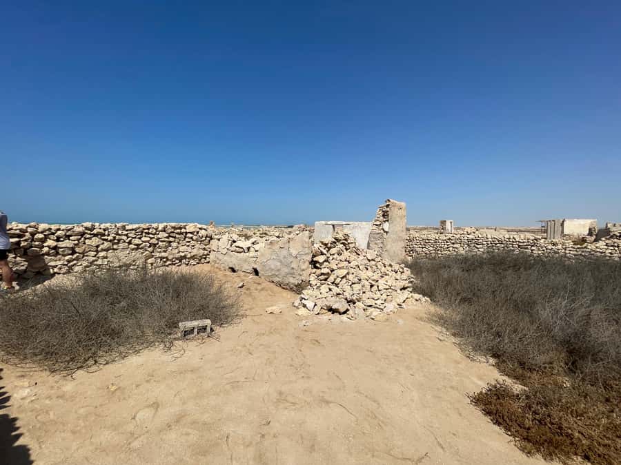 North of Qatar: Olafur Eliasson Exibit, Zubara fort & jumail - Should you book the north of Qatar tour?
