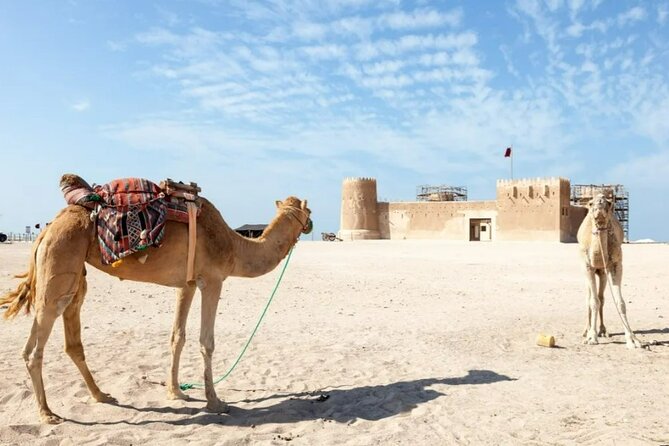 North of Qatar Tour to Olafur Eliasson,Zubara Fort,Jumail Village - What the Private Format Means for You